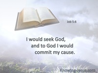 Job 5:8